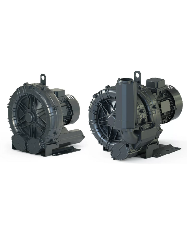 untitled design 2026 01 01t144454.466