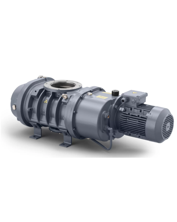 untitled design 2026 01 01t151549.333